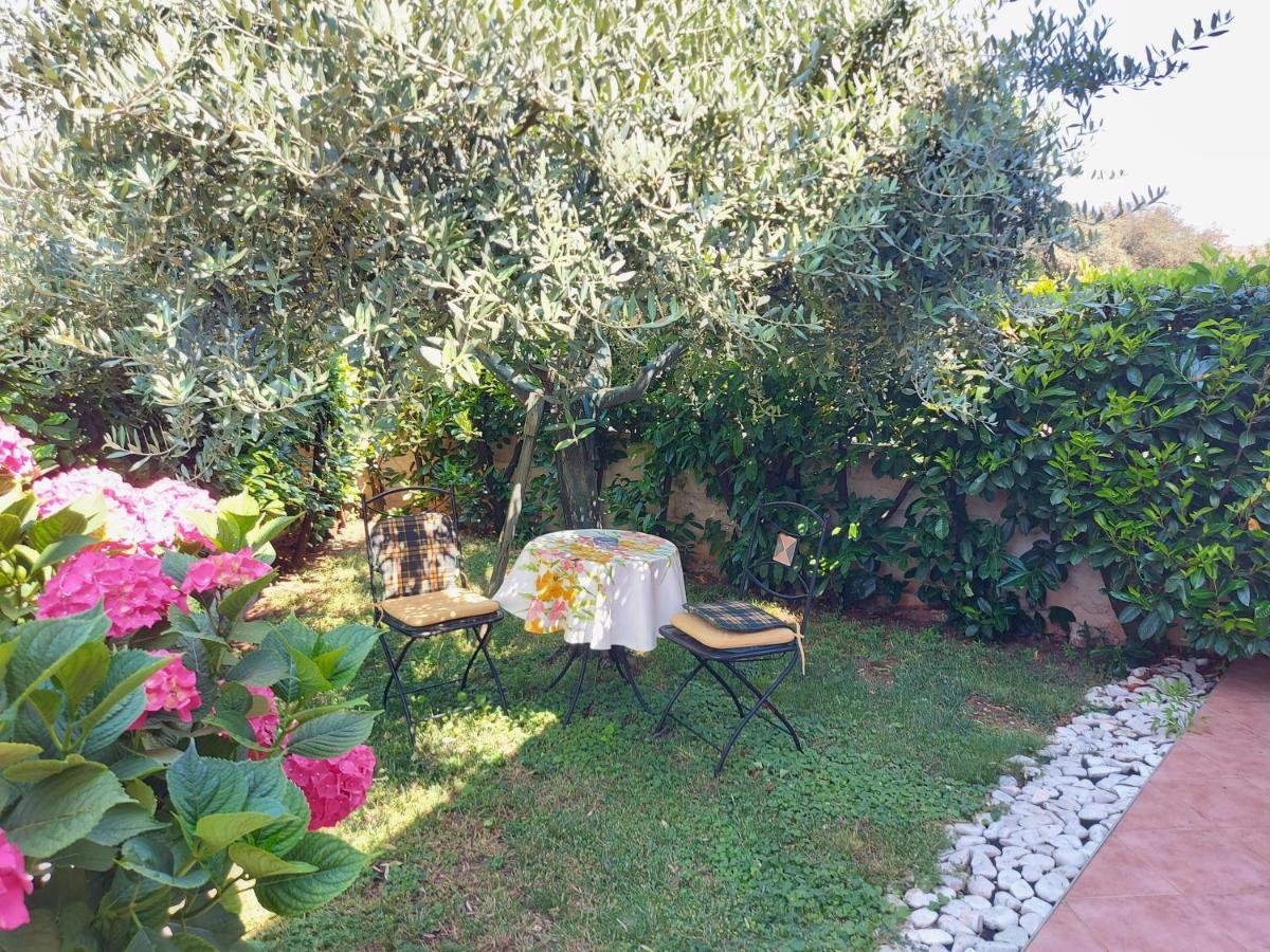 Appartamento Alida Умаг Экстерьер фото